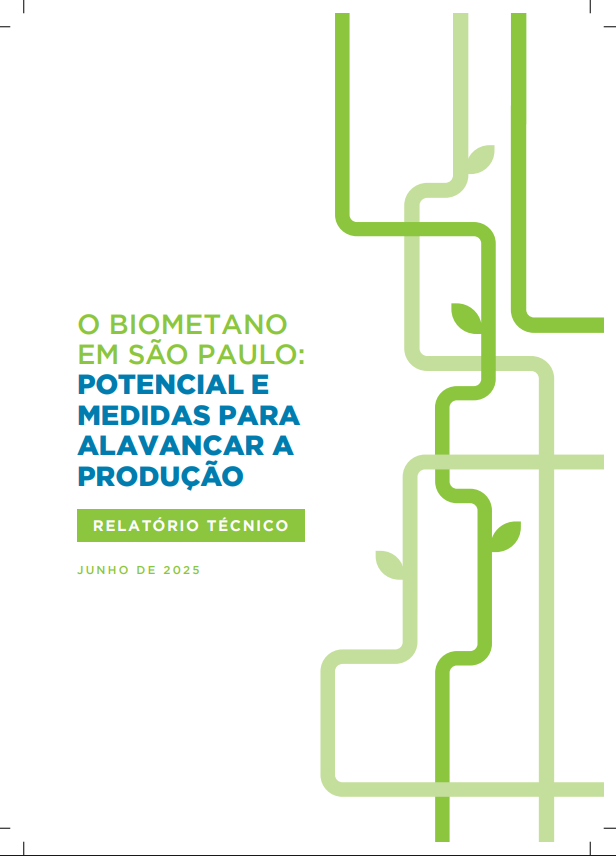 Biomethane in São Paulo: Potential and measures to boost production (Technical report)