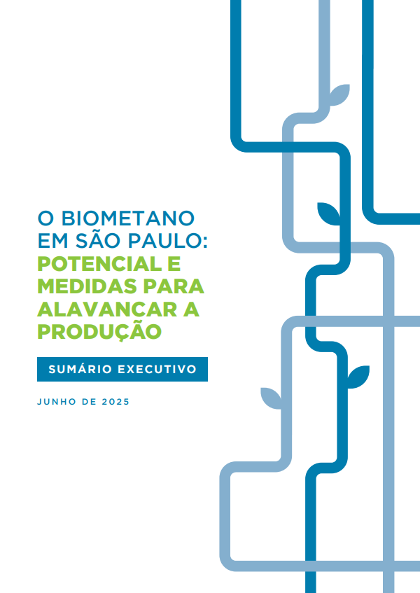 Biomethane in São Paulo: Potential and measures to boost production (Executive summary)